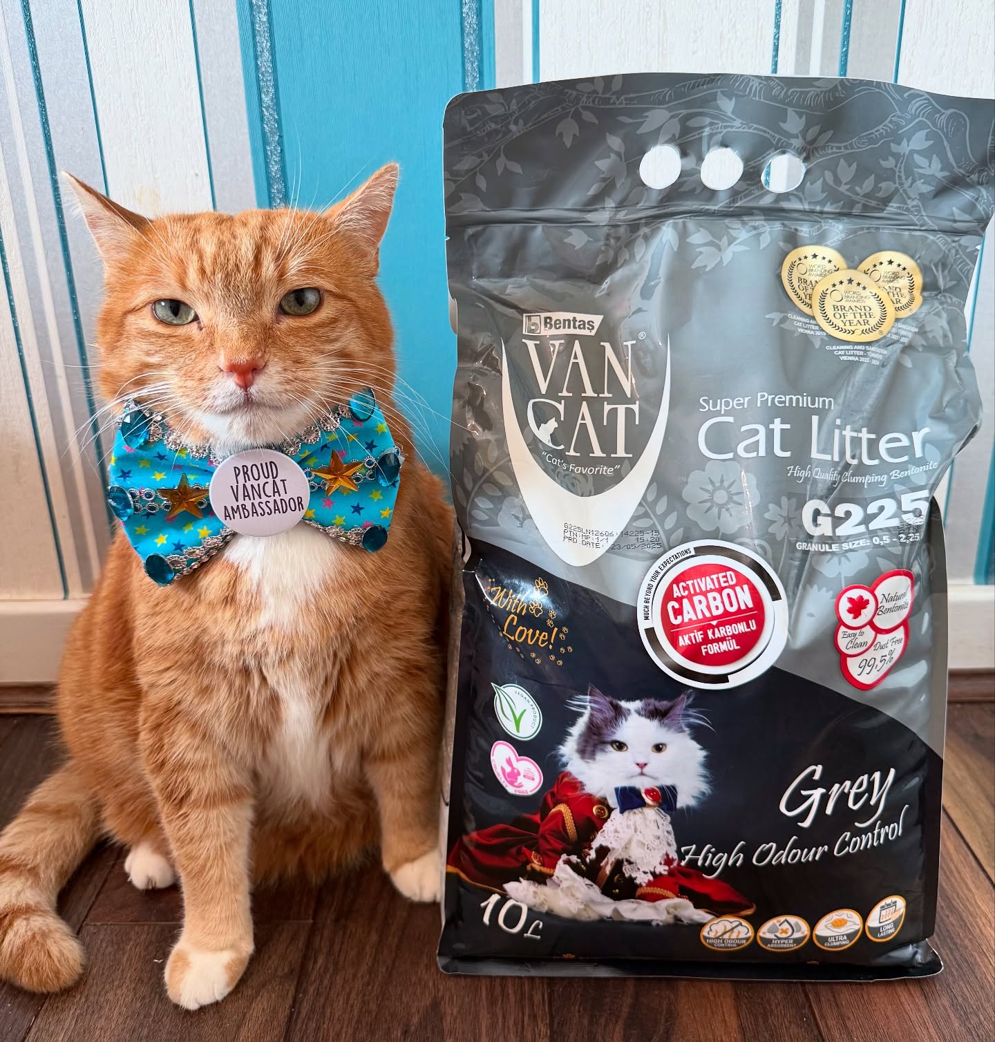 Instagram post by @a_ginger_cat_named_rascal for VanCatUK. Caption reads: It may be hot but our house is still smelling....