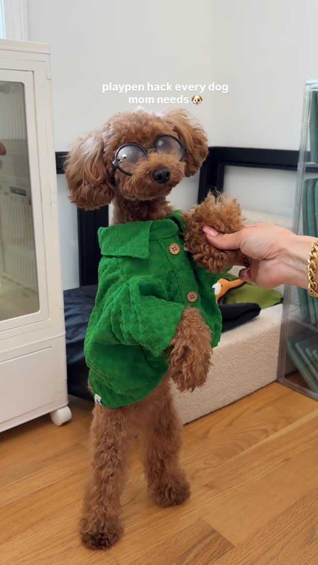 Instagram post by @the_hayeks for Earth Rated. Caption reads: Upgrade your playpen today, because your pup....