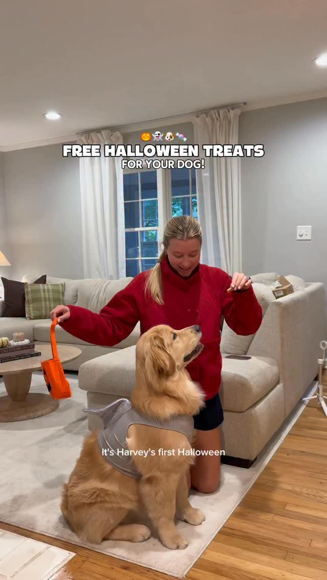 Instagram post by @mygoldenharvey for Purina. Caption reads: FREE treats for your pup this Halloween! #AD 🎃🐾....