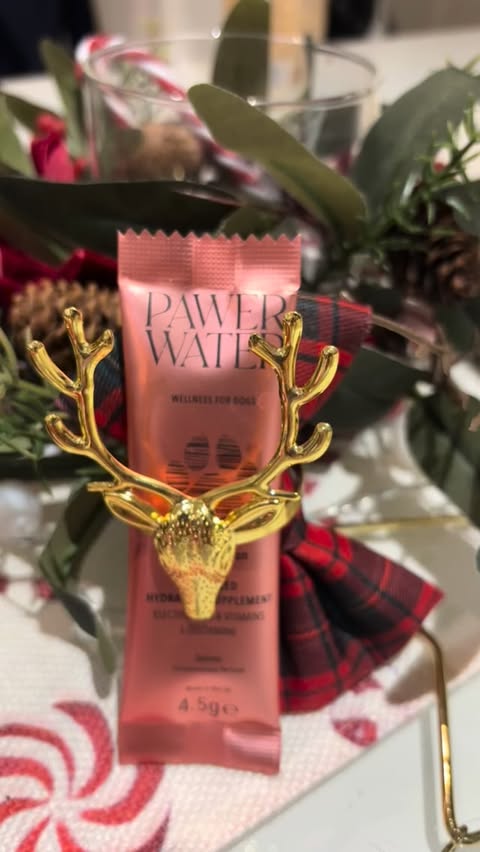 Instagram post by @binkyandbentley for Pawer Water. Caption reads: Binky’s Christmas Pawer Water Cocktail is served!....