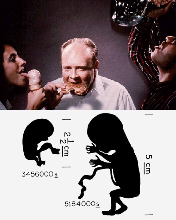 Instagram post by @hiiihorse for NASA. Caption reads: these images were sent into space, floating....