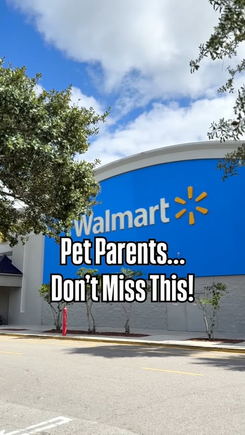 Instagram post by @walmartbargains for Vetnique. Caption reads: [...] their ears? 🐕 [ad] Then check out @Vetnique....