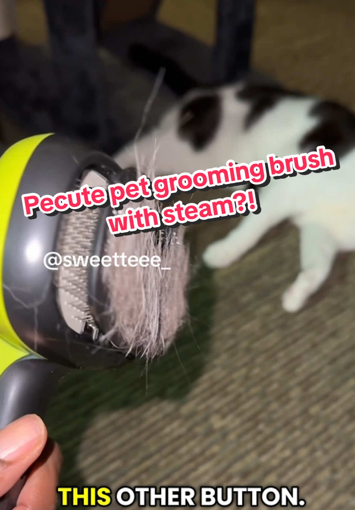 TikTok post by @sweetteee_ for Pecute. Caption reads: [...] #tiktokshopblackfriday #ttssoutheast @Pecute....