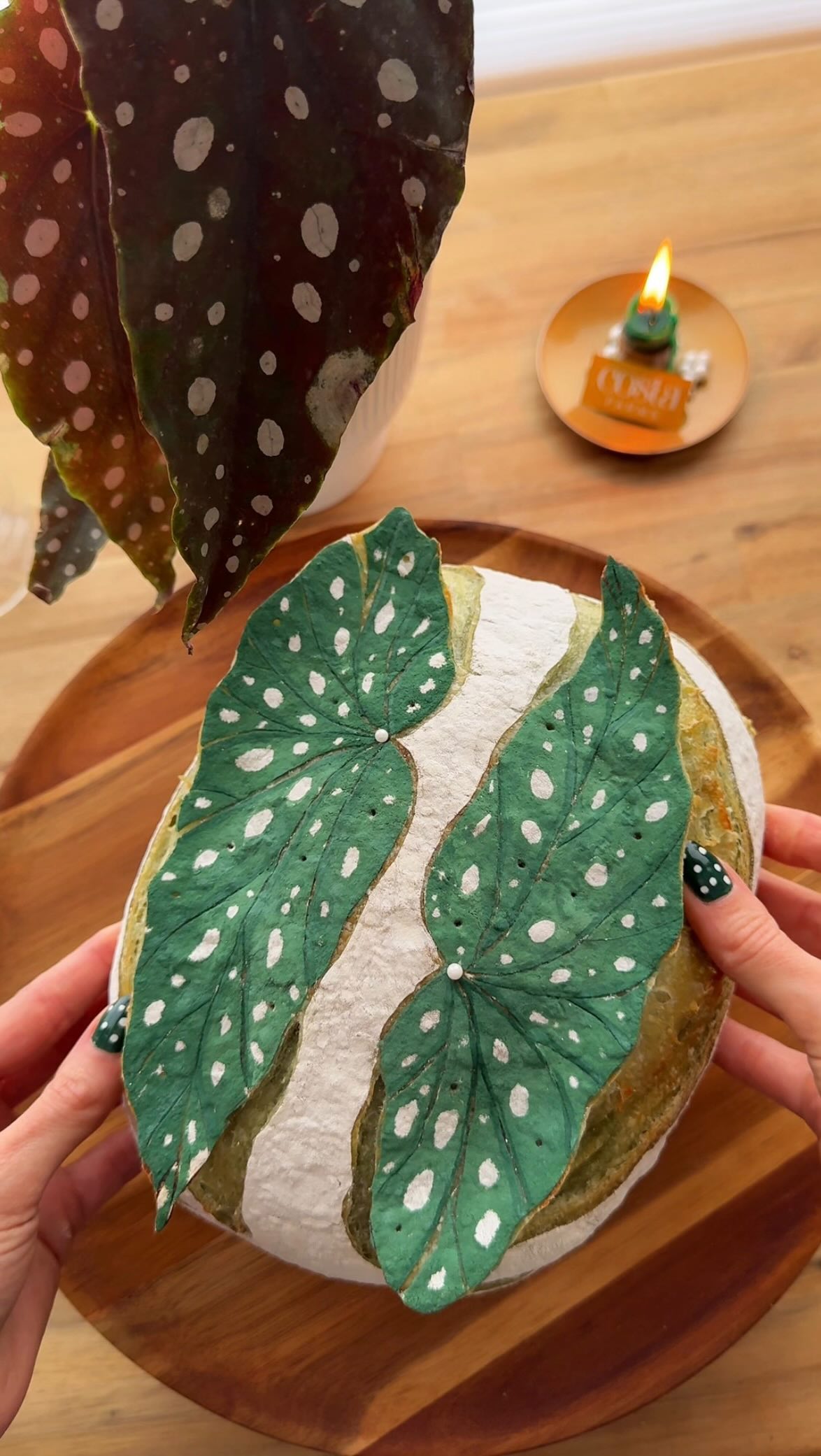 Instagram post by @the.sourdough.mama for Costa Farms. Caption reads: This sourdough loaf was inspired by one of the....