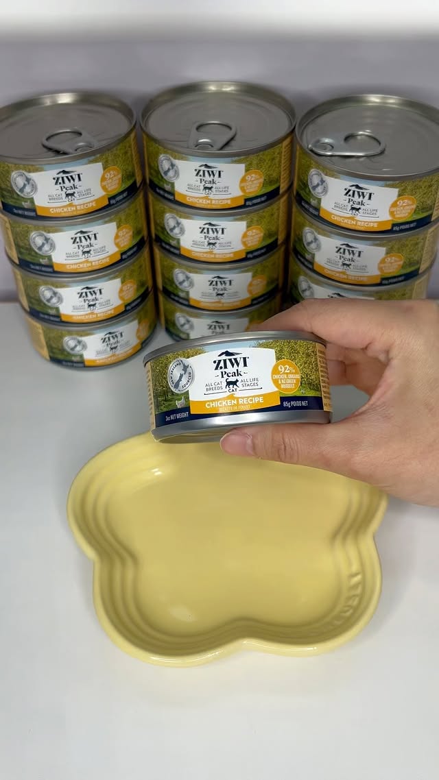 Instagram post by @zeddybearr for ZIWI Pet Food. Caption reads: ZIWI is Zed’s all time favorite brand. Zed has....