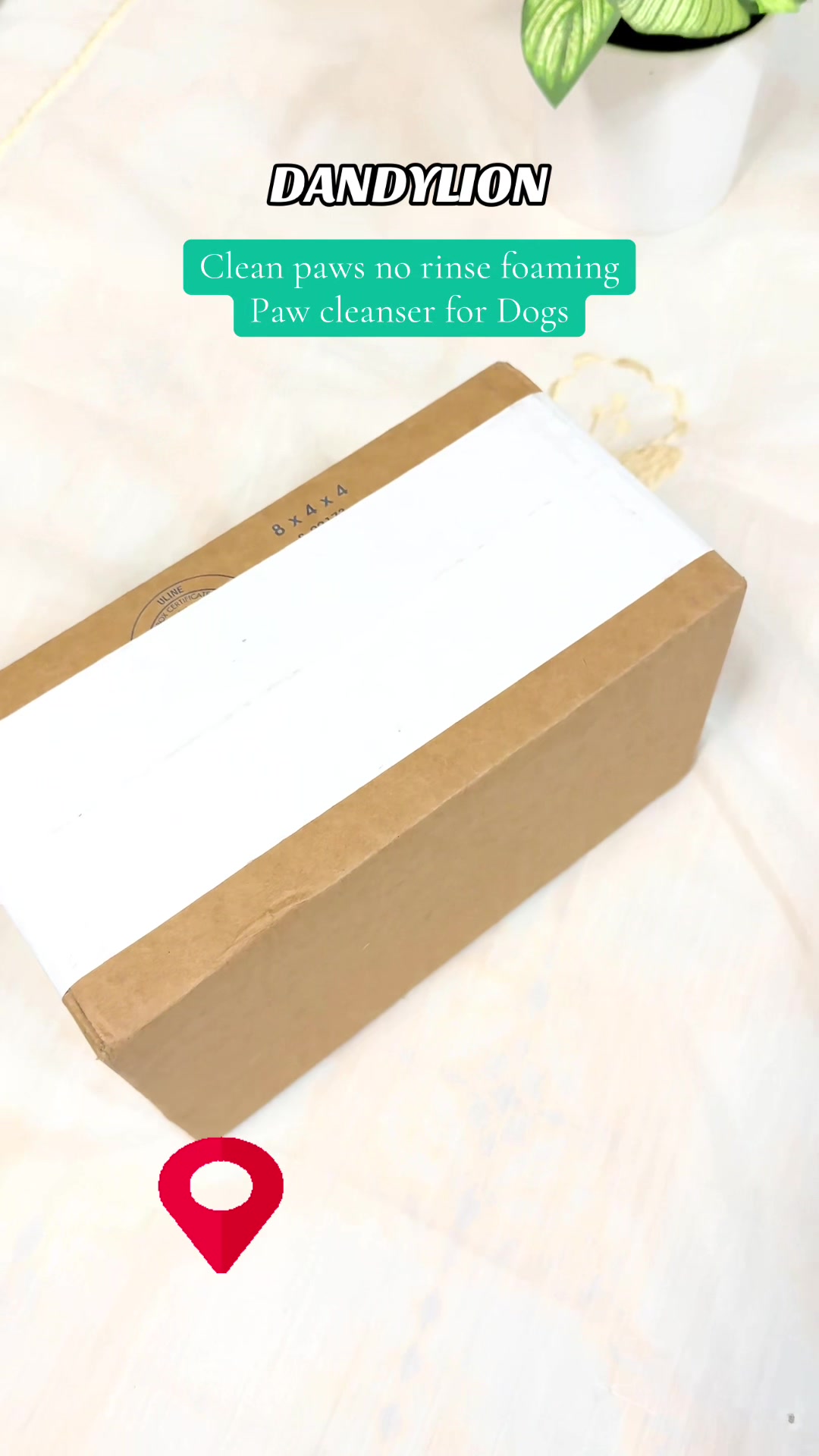 TikTok post by @amanilucky8 for Dandylion. Caption reads: [...] #blackfriday #@Shop Dandylion cleanser for....