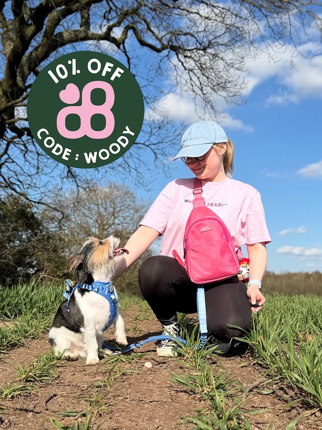 Instagram post by @walkies_with_woody for Pawsome Paws Boutique. Caption reads: [...] knows we live and breathe....
