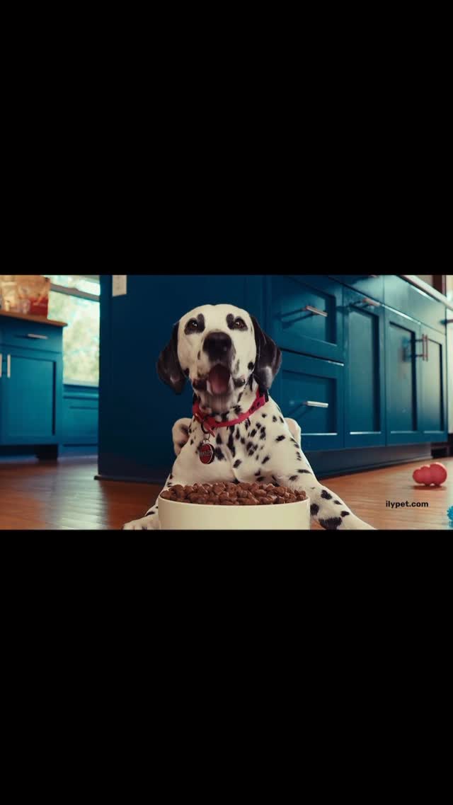 Instagram post by @bradley.in.the.spotlight for I and love and you. Caption reads: Bradley’s most recent commercial for....