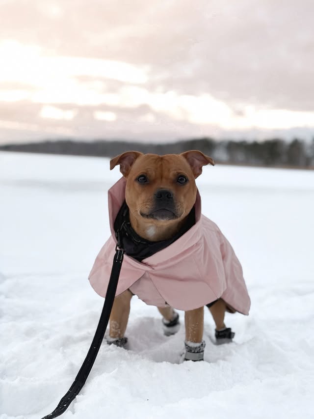 Instagram post by @yava.sofie for PAIKKA. Caption reads: [...] new jacket… mom too🥹🩷 Ad/ambassador....