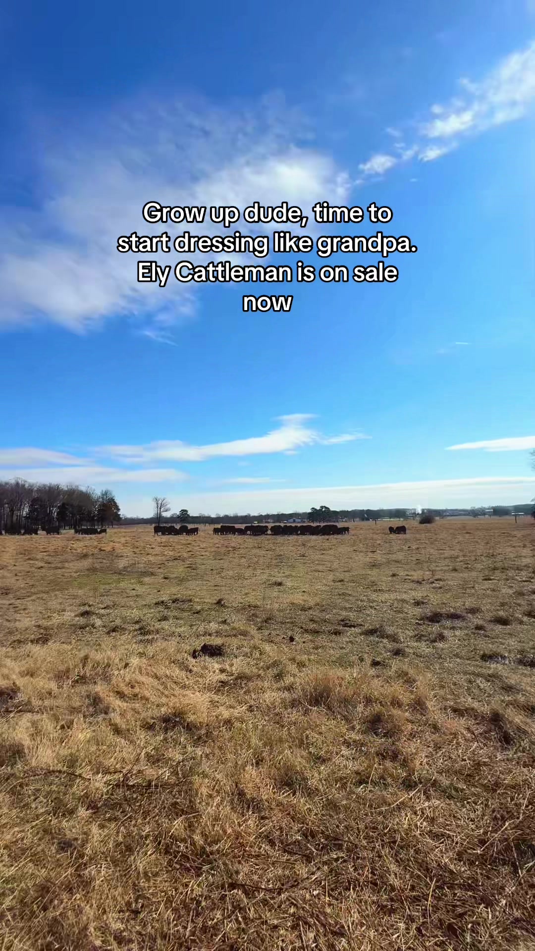 TikTok post by @josiahspicermusic for Ely Cattleman. Caption reads: Time to grow up @Ely Cattleman #ranchin #ranch....