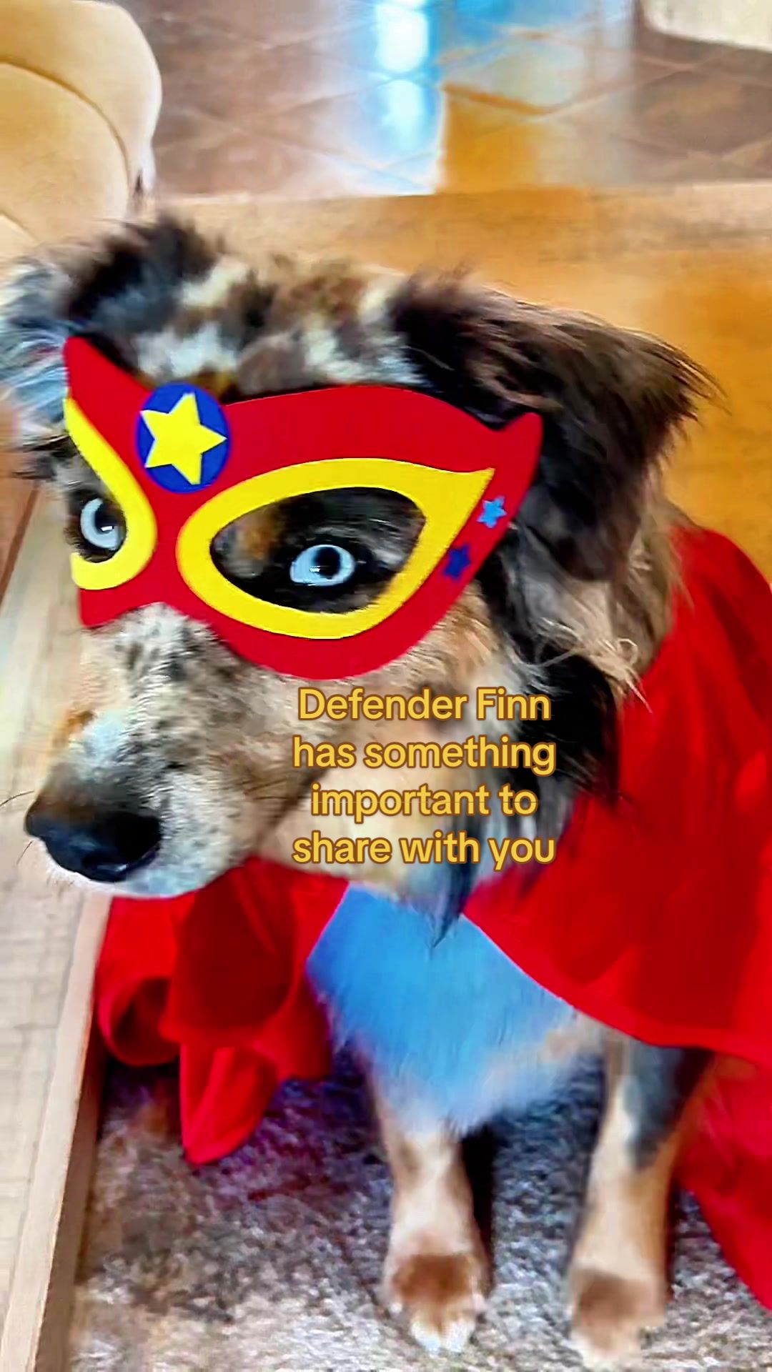 TikTok post by @lifeoflexi_gsd for Native Pet. Caption reads: [...] toys?? This super dog uses Native Pet’s The....