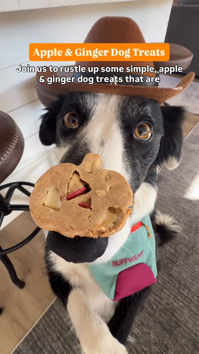 Instagram post by @laducb for Ruffwear. Caption reads: This Halloween, our kitchen went full Wild West!....