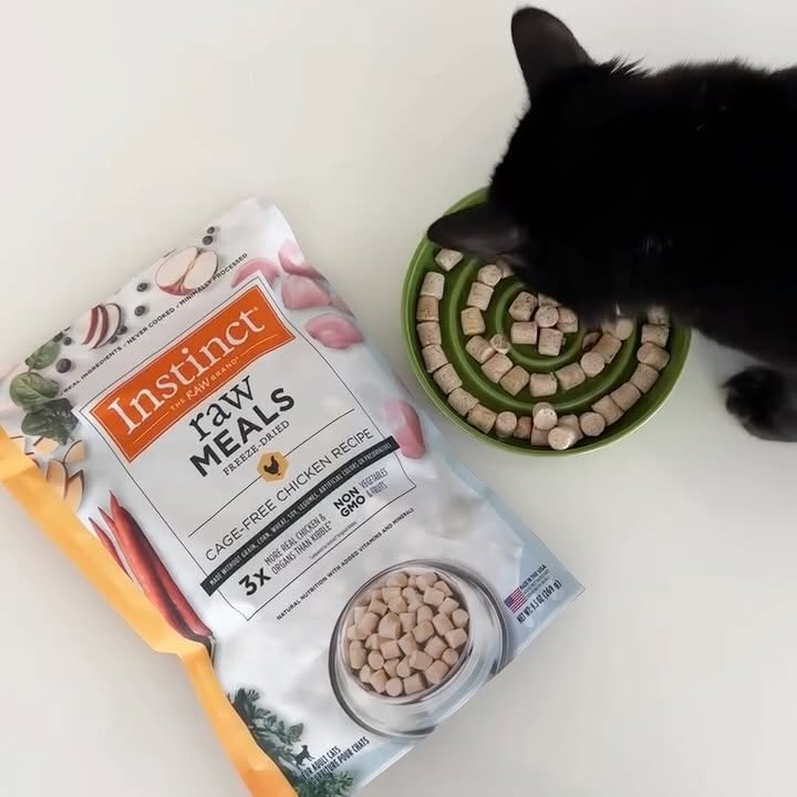 Instagram post by @herhouseofcats for Instinct Pet Food. Caption reads: AD | The quickest taste test challenge ever!....