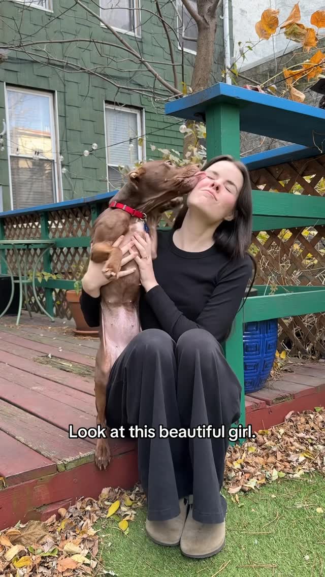 Instagram post by @simonsits for Open Farm Pet. Caption reads: Whimsy’s weekly weigh-in ❤️ thank you to....