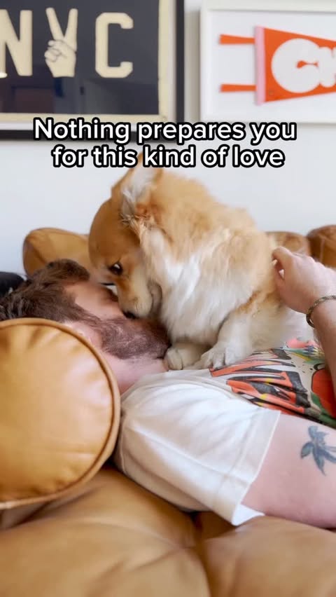 Instagram post by @madmax_fluffyroad for Sundays for Dogs. Caption reads: [...] that matter most ❤️ We feed Maxine....