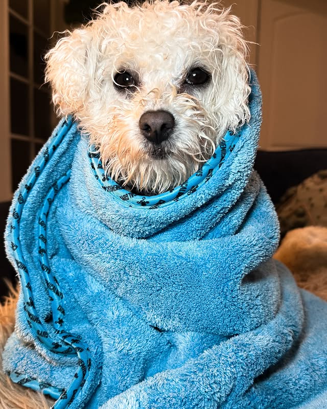 Instagram post by @the_bachou for Chemical Guys. Caption reads: [...] 🛁 Super absorbent microfiber towel:....