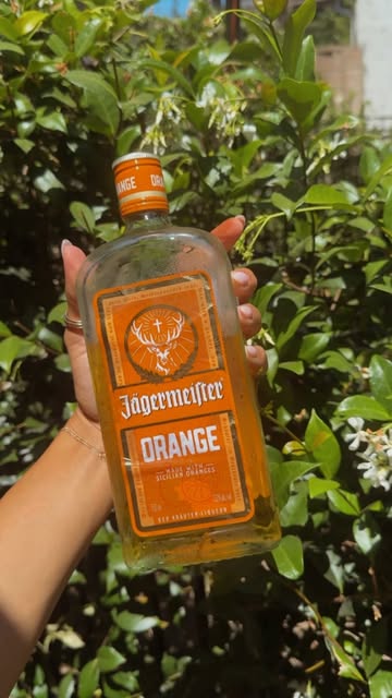 Instagram post by @jennnbellee for Jägermeister. Caption reads: [...] and a round of refreshing, citrusy....