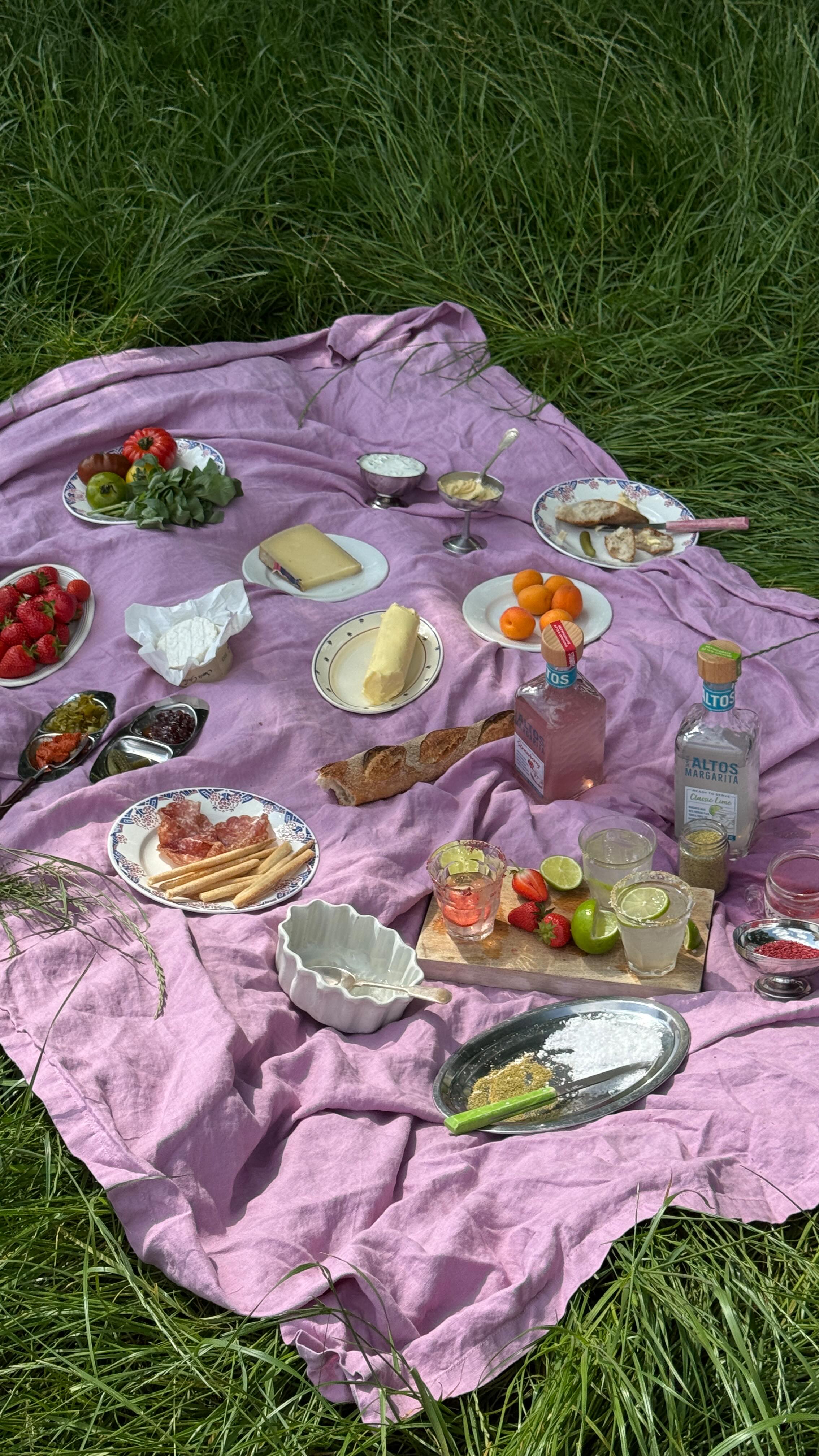 Instagram post by @xanthemross for Olmeca Altos Tequila. Caption reads: had my first picnic in the park of the summer this....