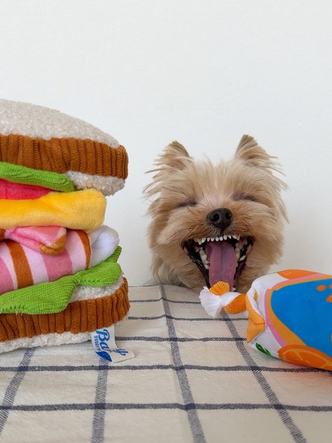 Instagram post by @u_u_829 for Doggy Box. Caption reads: .