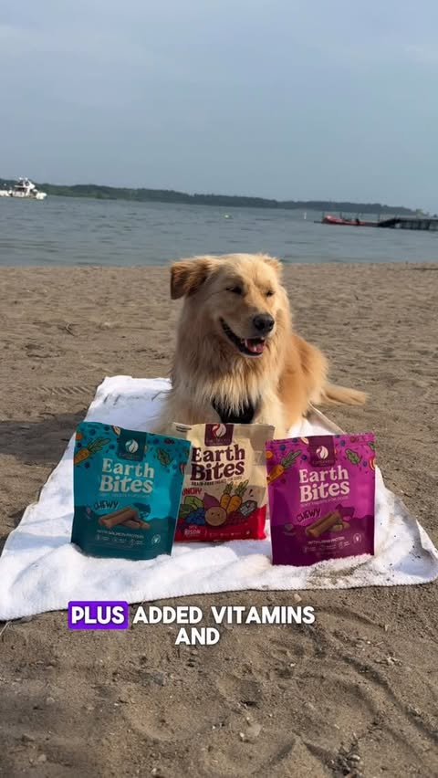 Instagram post by @charlies.castle for Earthborn Holistic Pet Food. Caption reads: Every comment = a tree planted 🌱 For the first 24....