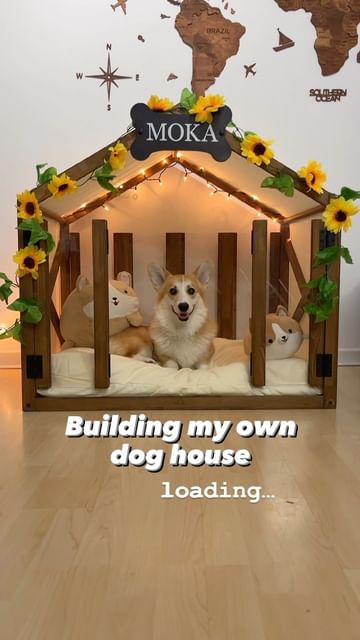 Instagram post by @moka.thecorgi for – Wlo Store. Caption reads: And this is how my dog became a homeowner!....