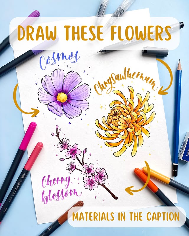 Instagram post by @bealettering for STAEDTLER. Caption reads: [...] sketching and colouring flowers with....