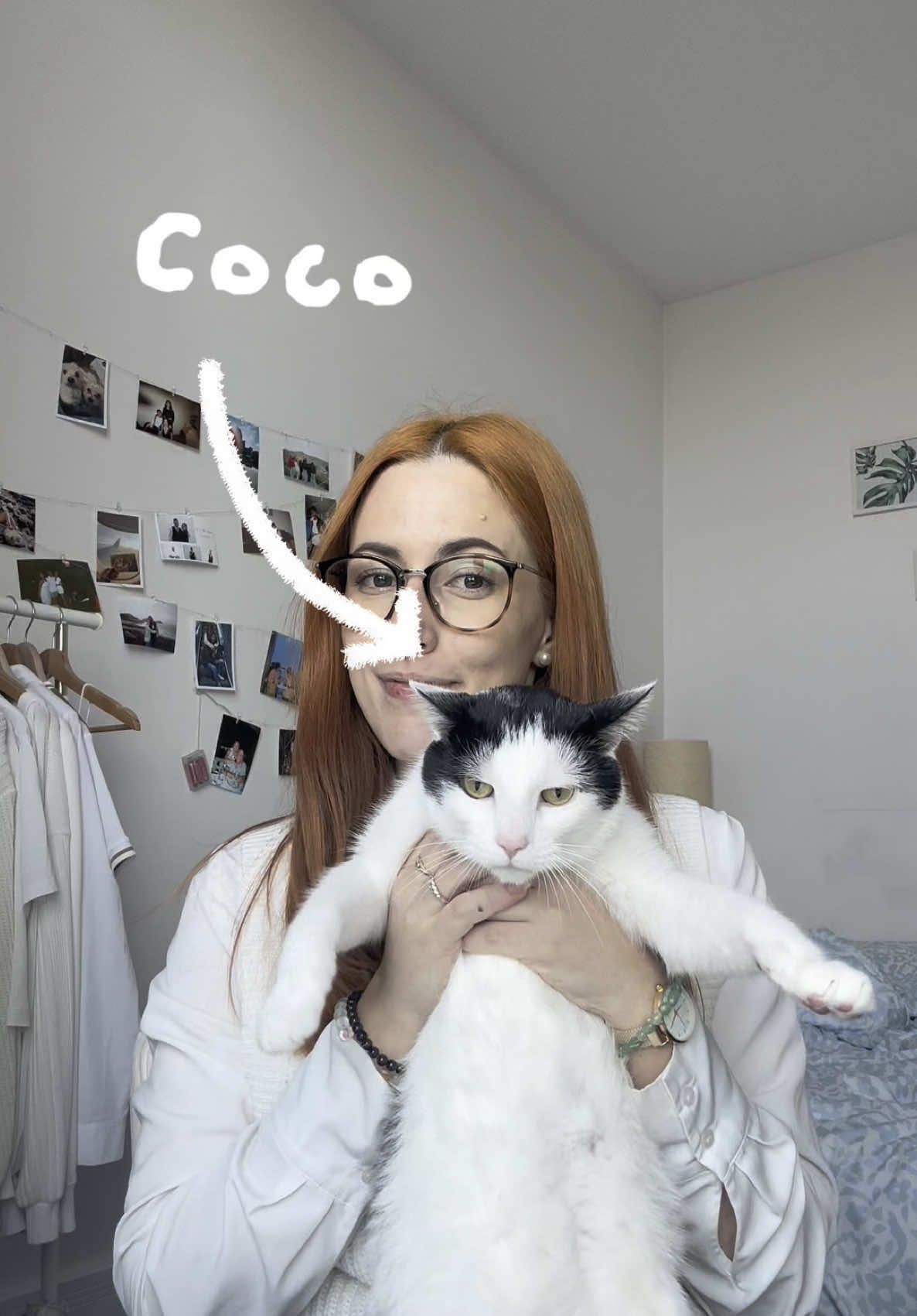 TikTok post by @naymelero for Scrumbles. Caption reads: Testing how picky my cat is when it comes to food!....