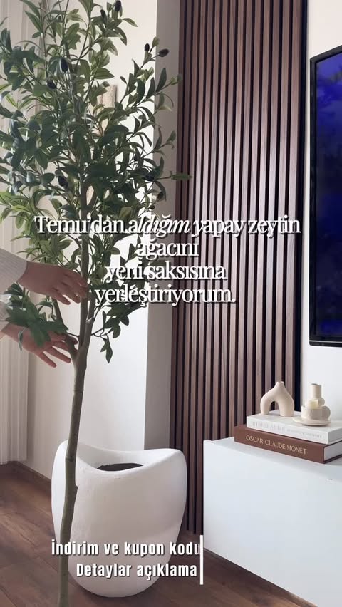 Instagram post by @homebytugba_ for Temu. Caption reads: [...] #Ad #Sponsored #PaidPartnership #Temu....