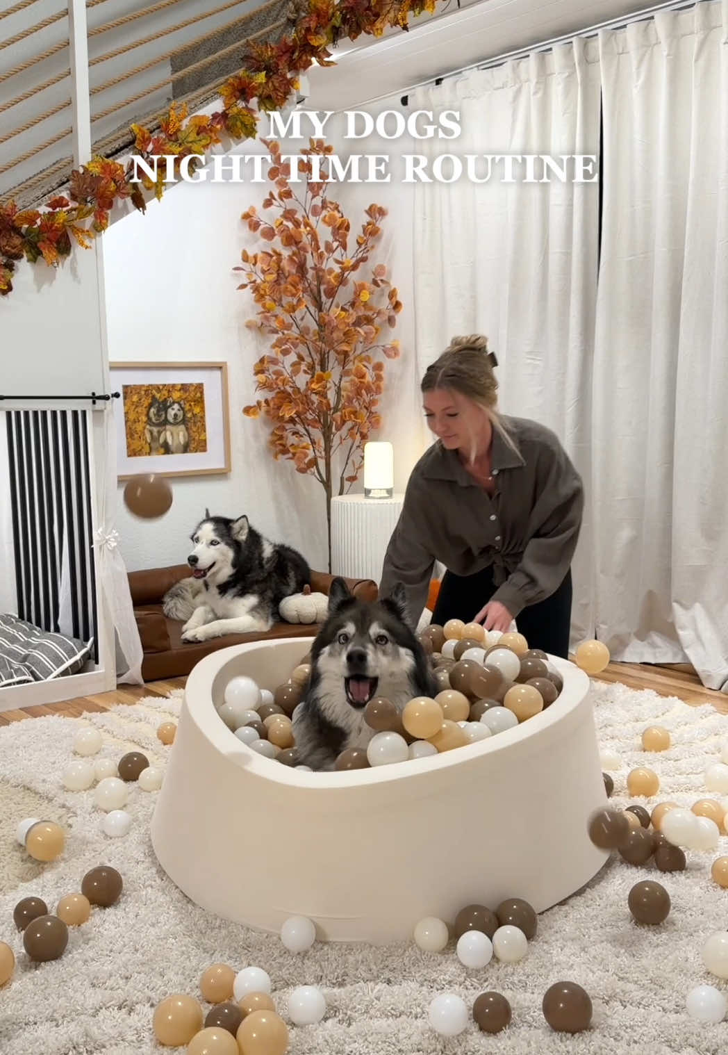 TikTok post by @thehuskyfam for Open Farm Pet. Caption reads: Kakoa and Sky’s night time routine with @Open Farm....