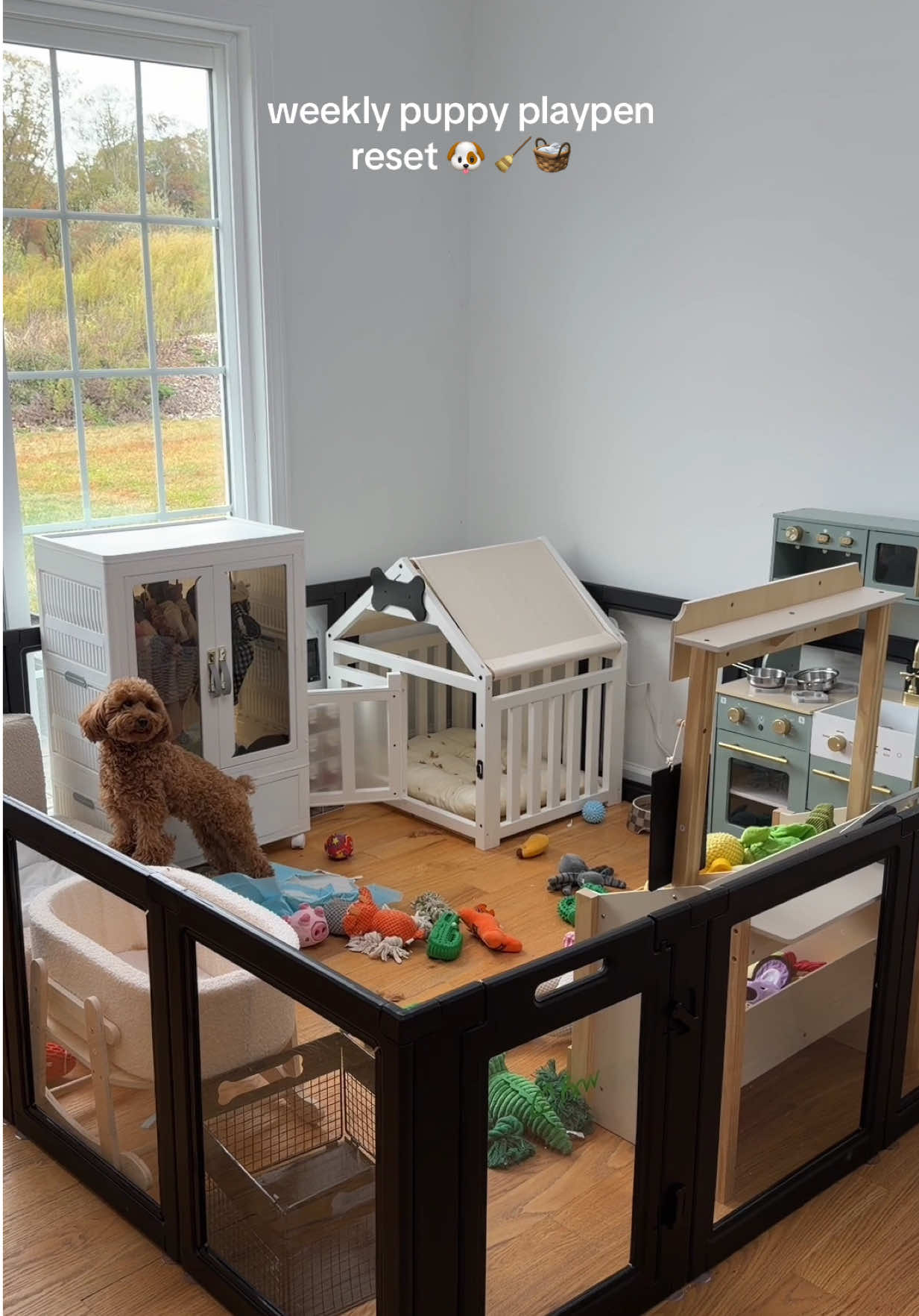 TikTok post by @the_hayeks for Levoit. Caption reads: weekly puppy playpen reset with @Levoit_official....