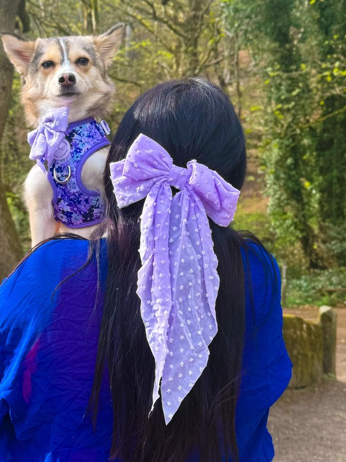 Instagram post by @thefoxwolfspotbossandbaby for Cookie & Chewkie. Caption reads: Happy Chewsday Frens 💜🌸💜

Aurora here throw....