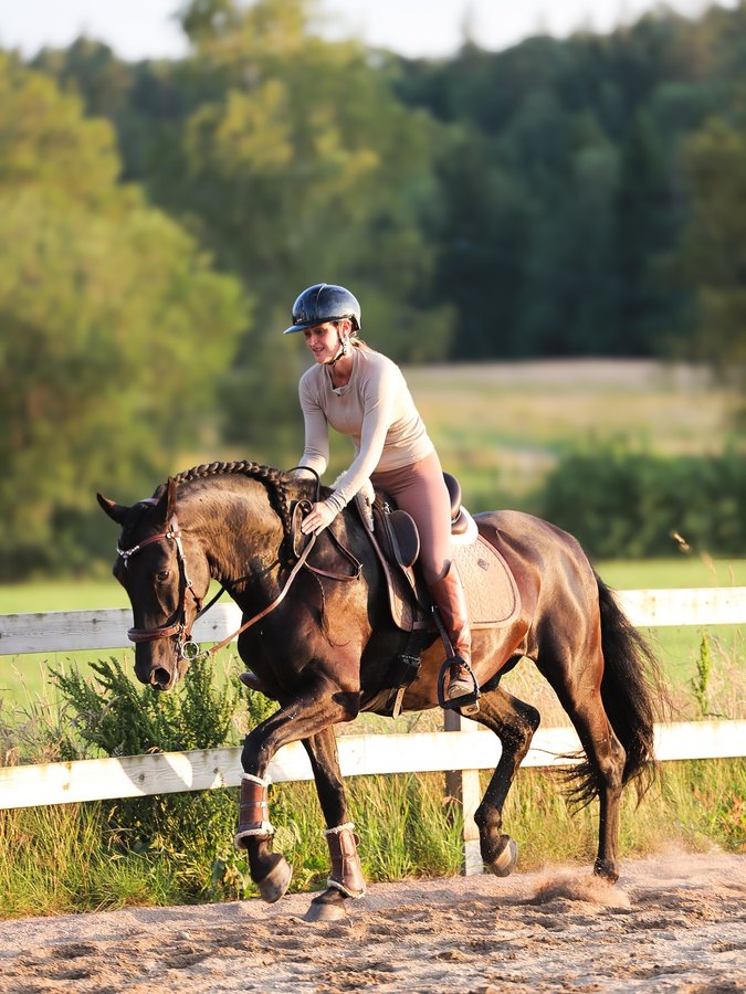 Instagram post by @spiritandhiscrew for Pomme. Caption reads: [...] Rolex 😮‍💨🤤 
Outfit from @wearepomme....