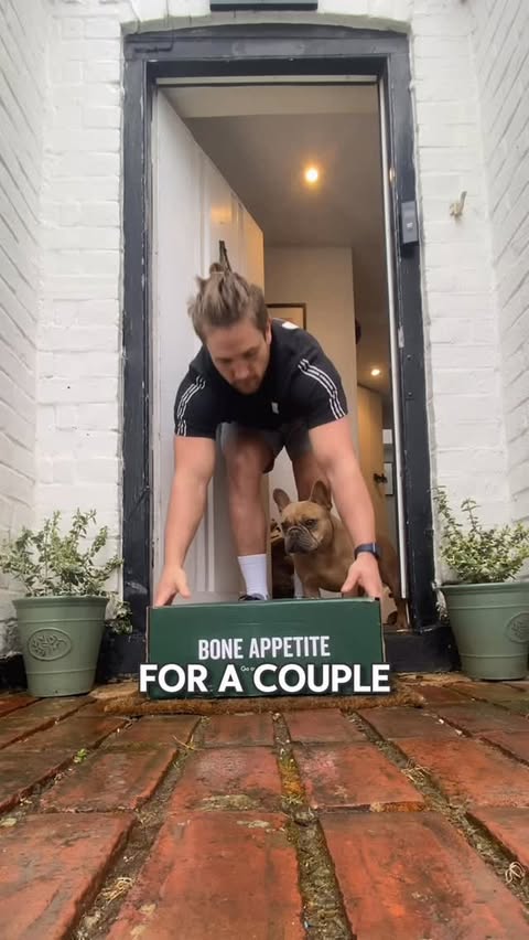 Instagram post by @tj.the.frenchie for Marleybones. Caption reads: [...] What to do better for your dog? Give....