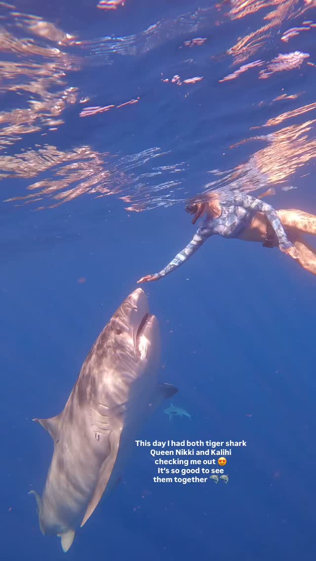 Instagram post by @oceanramsey for Img Models. Caption reads: So excited to share that both of the new bikini....