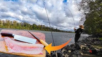 YouTube post by @Schnaxel for Jackery. Caption reads: Jackery: https://bit.ly/47pNce7 (5% discount on....