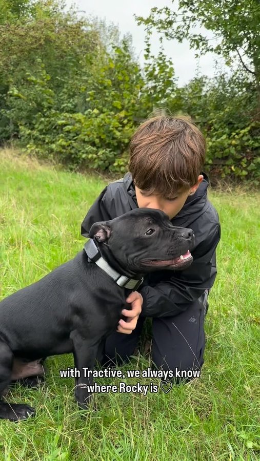 Instagram post by @bluestaffyboulder for Tractive. Caption reads: No more heart-stopping moments when Rocky goes....