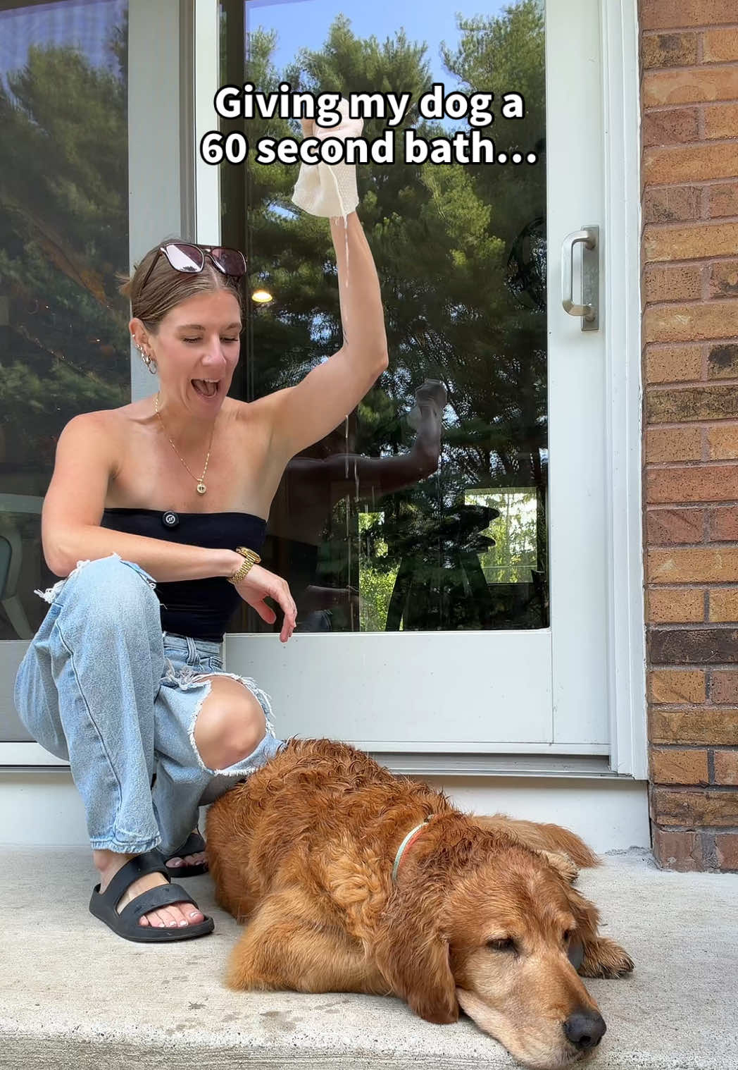 TikTok post by @_toribaker for HICC Pet. Caption reads: This is the best pet hack ever…👀 @HICC Pet US.