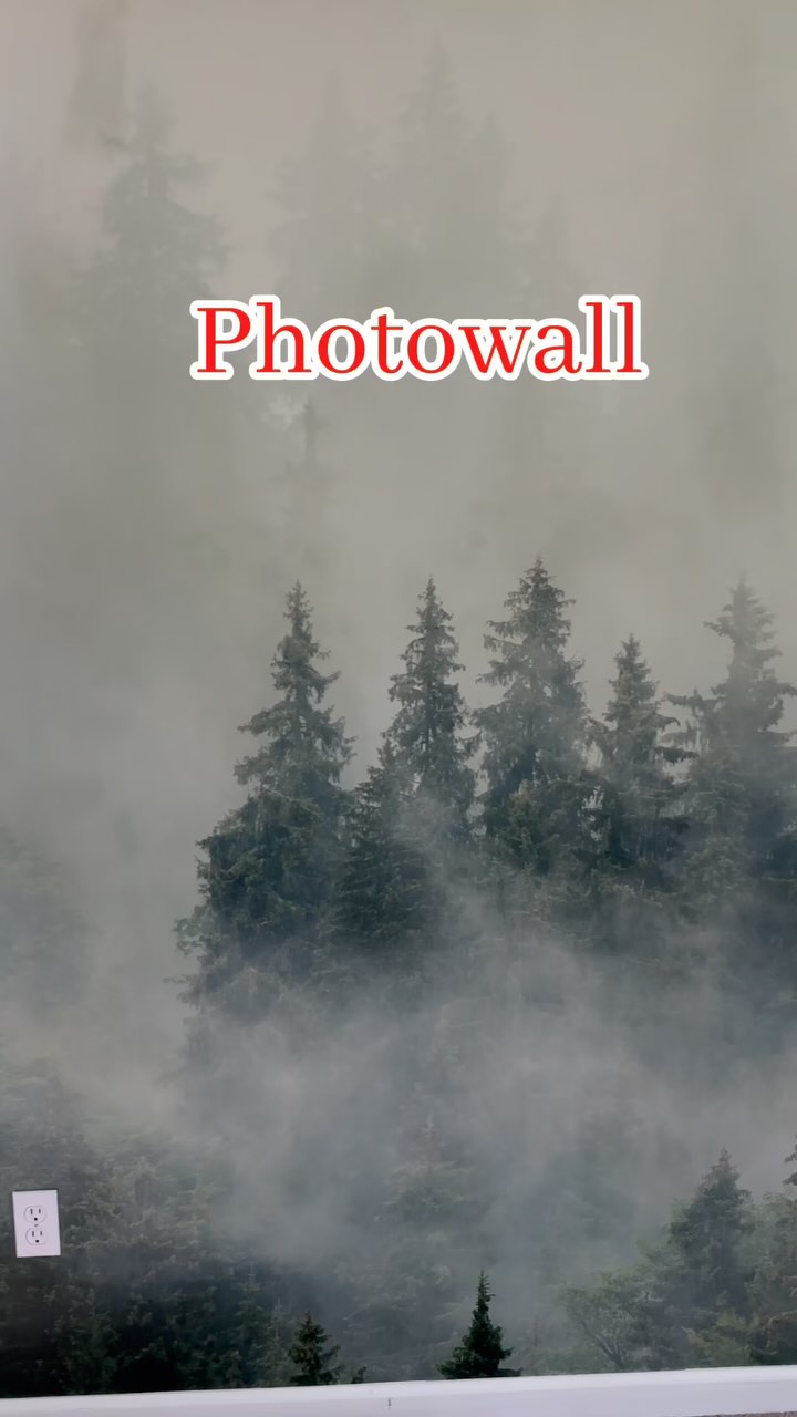 Instagram post by @amerikazamanii for Photowall. Caption reads: ✨We used the Foggy Forest wallpaper from....