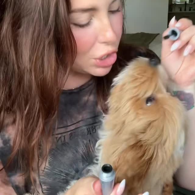 Instagram post by @katiesantry for Wander Beauty. Caption reads: Cooper wanted to show you what was in my Ipsy bag....