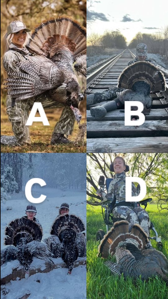 Instagram post by @outyobsession for SCHEELS. Caption reads: 🎯 WHO'S TAKIN' THE TITLE!? 🎯
It’s time to crown....