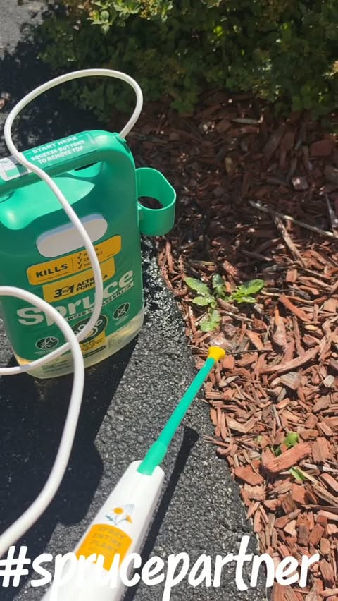 Instagram post by @aryaamandasquad for Spruce. Caption reads: #sprucepartner Get my front yard ready with me....