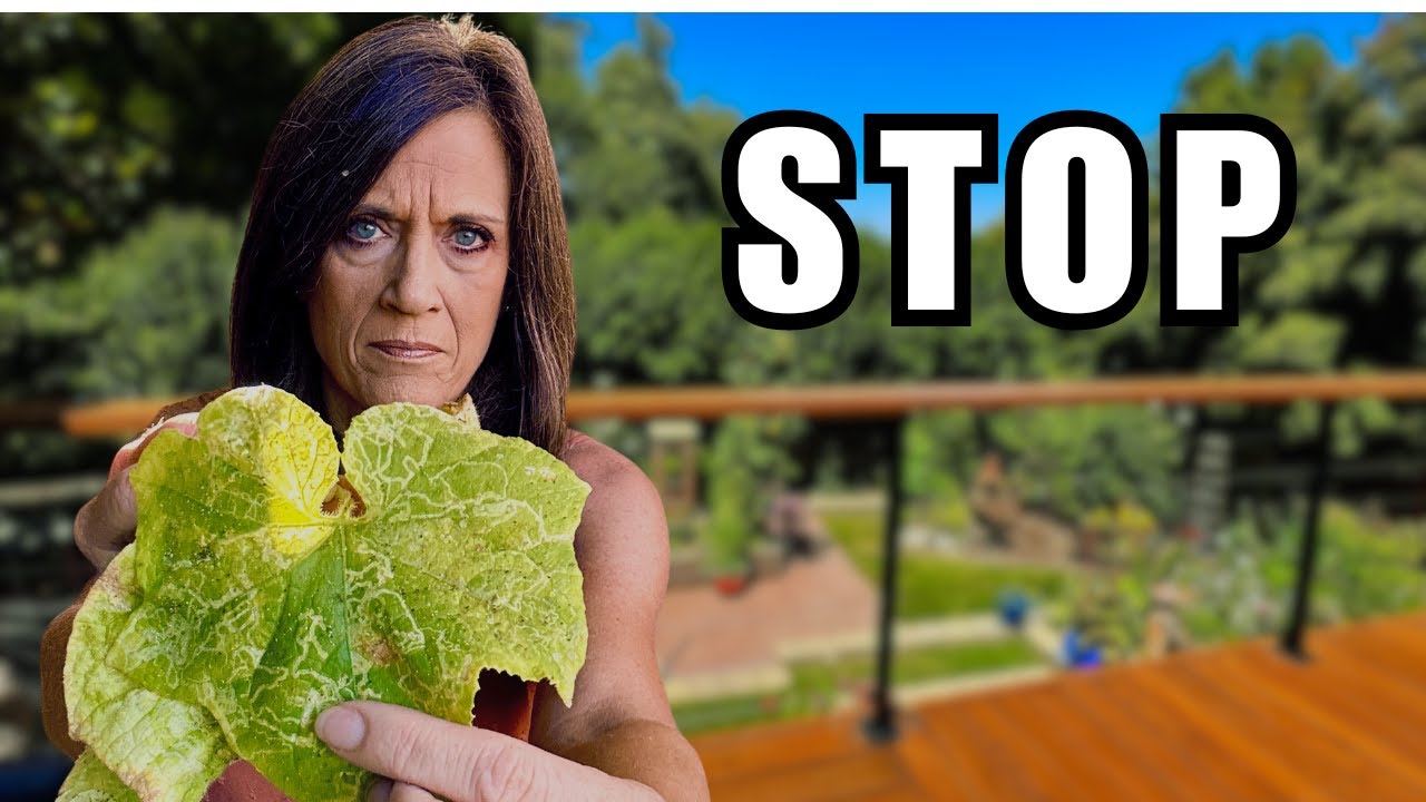 YouTube post by @CaliKim29 for Smart Pot. Caption reads: STOP Garden Pests With Organic Solutions/Aphids,....
