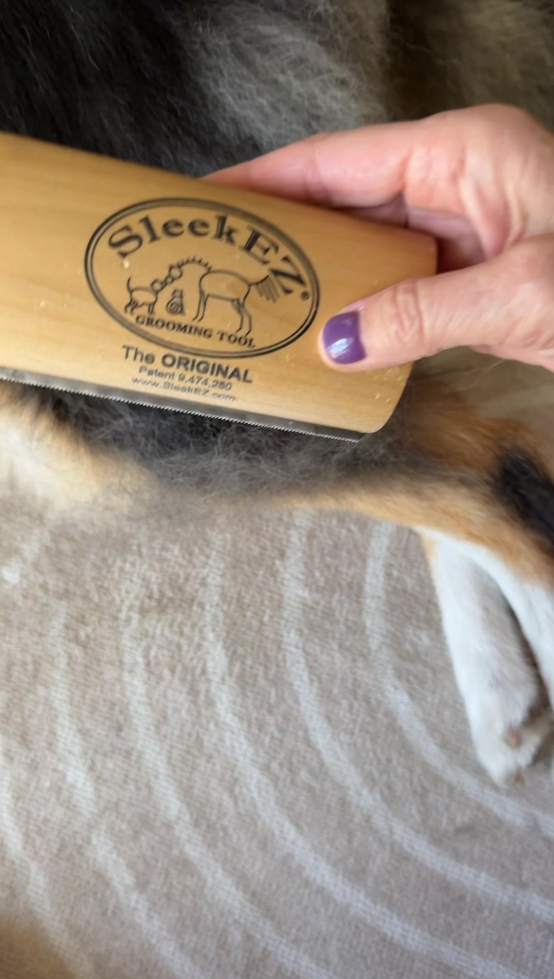 TikTok post by @finleyandjosie for SleekEZ. Caption reads: [...] his undercoat out every time 🐶🫶🏼 @SleekEZ....