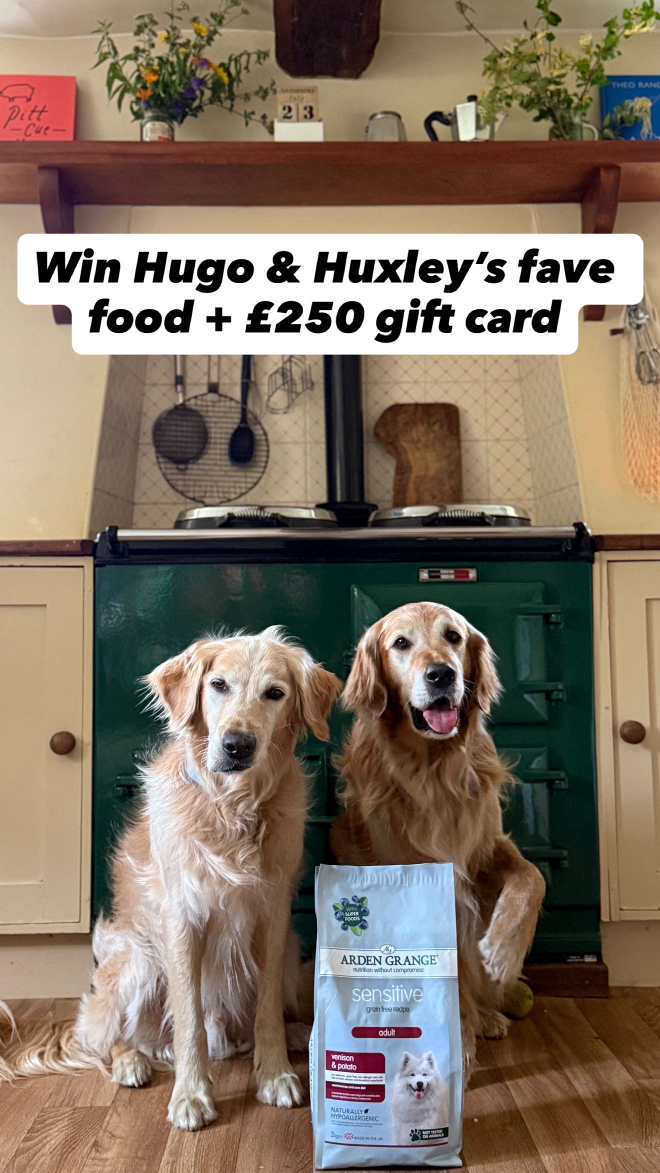 Instagram post by @hugoandursula for Arden Grange. Caption reads: * close *
#ad GIVEAWAY! Hugo, Hux and I have....