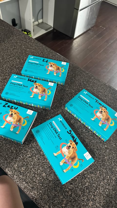 Instagram post by @mythologicaldogs for Embark. Caption reads: [...] babies DNA results 👀👀👀👀 Thank you....