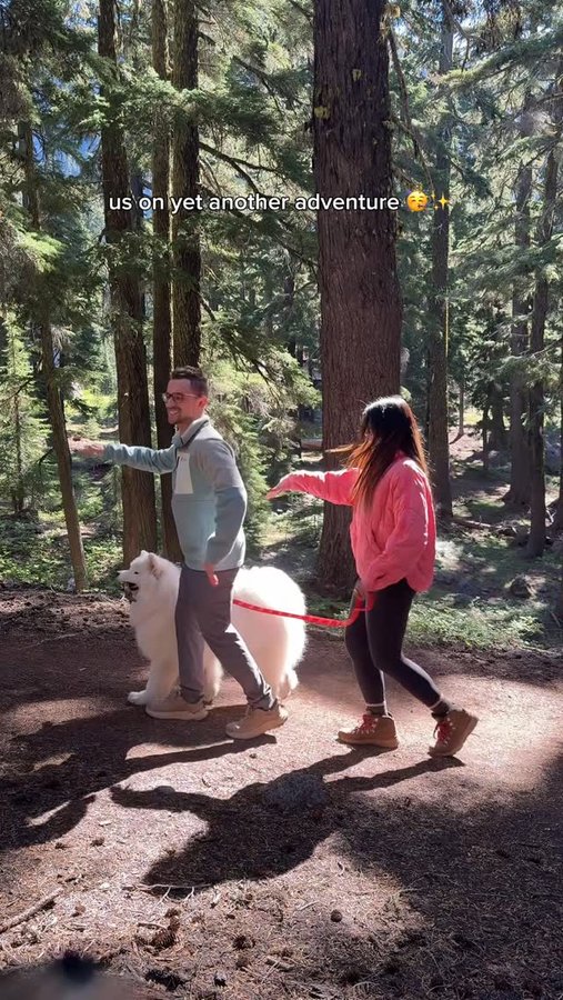 Instagram post by @life.with.a.landcloud for ORIJEN Petfoods. Caption reads: GIVEAWAY CLOSED 

🎉ADVENTURE KIT GIVEAWAY TIME!....