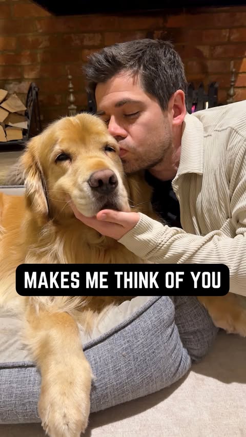 Instagram post by @marleyinnyc for The Farmer's Dog. Caption reads: [...] food in every bowl.🥰 Huge thanks to....