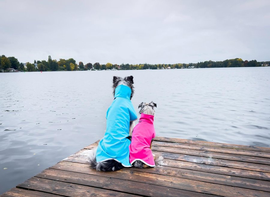 Instagram post by @unpawfect.dogs for Pomppa Dogwear. Caption reads: Anzeige

🩵🩷

SporttiPomppa by @pomppadogwear....