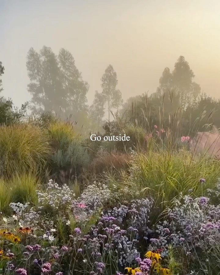 Instagram post by @zachbushmd for Primally Pure. Caption reads: What if nature’s largest teaching was rooted in....