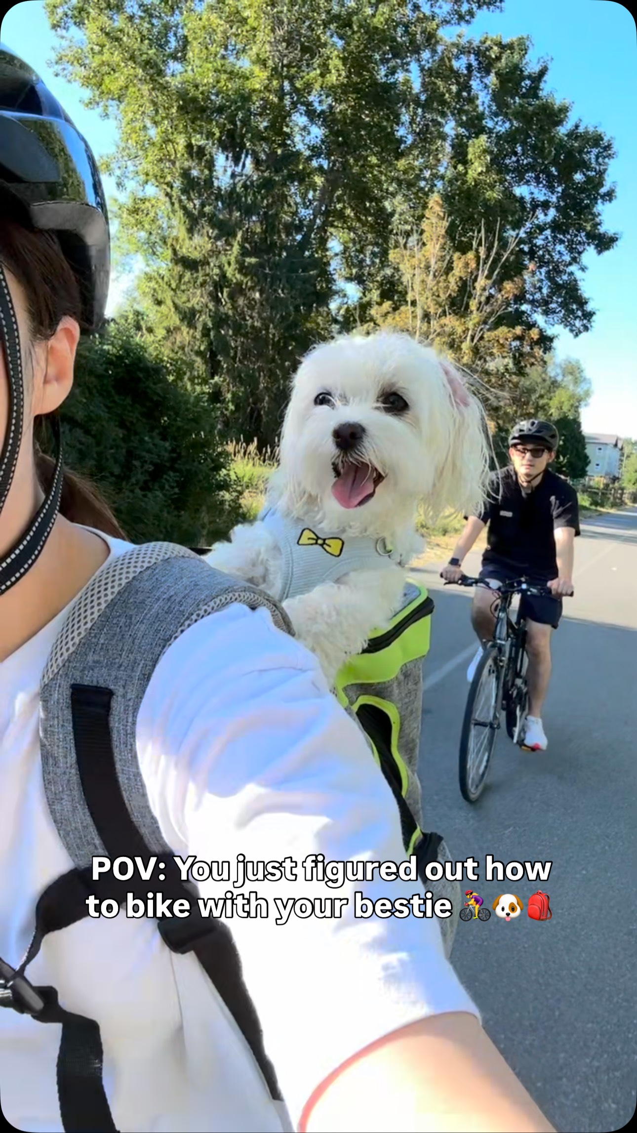 Instagram post by @bubblefurbaby for Petsfit. Caption reads: Thanks to @petsfit.us , now life is way better....